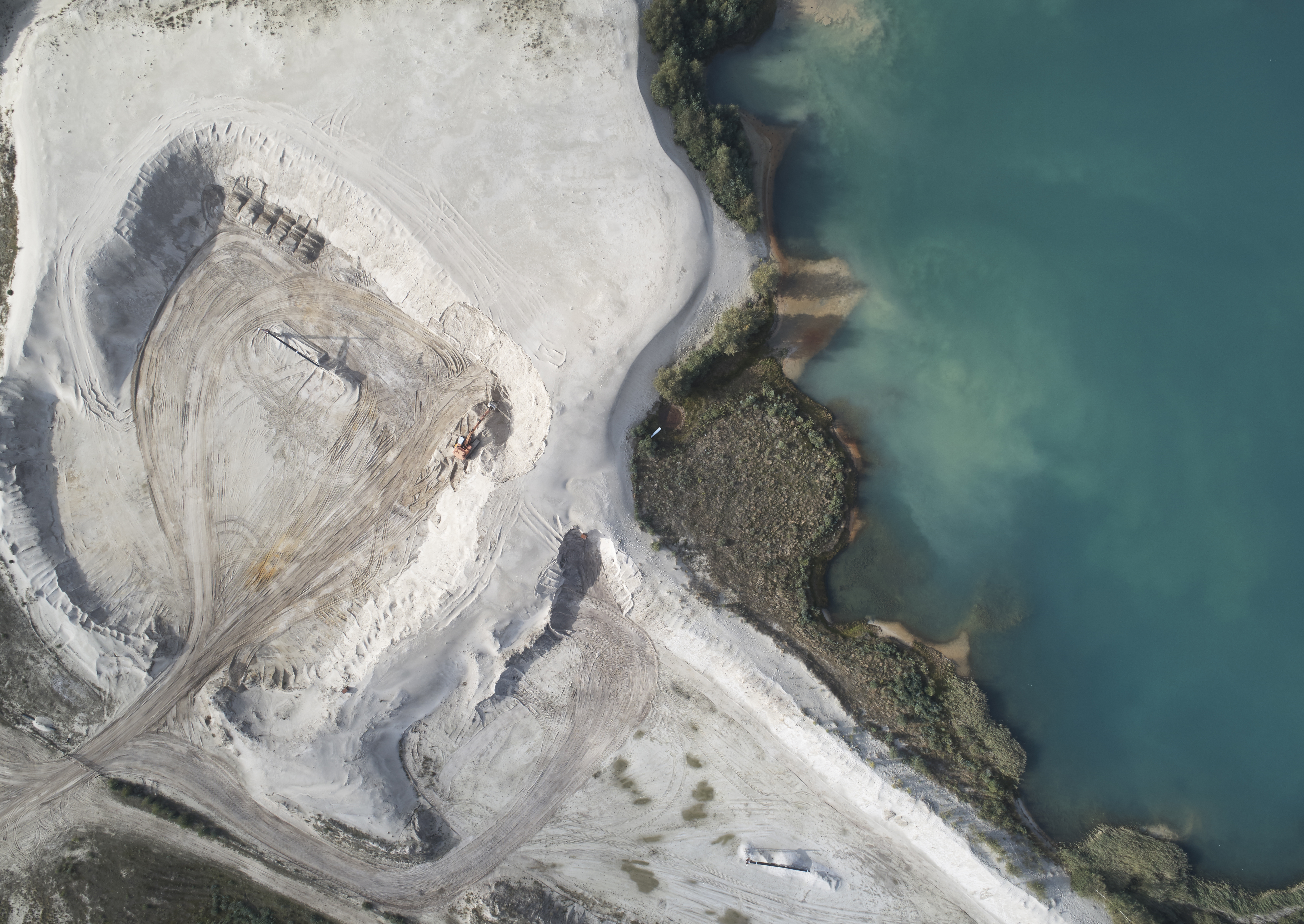 Biodiversität Renaturierter See